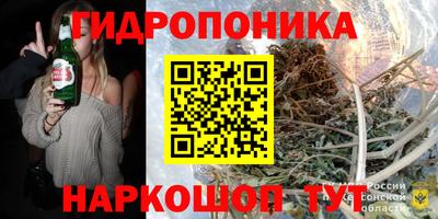apvp Нальчик