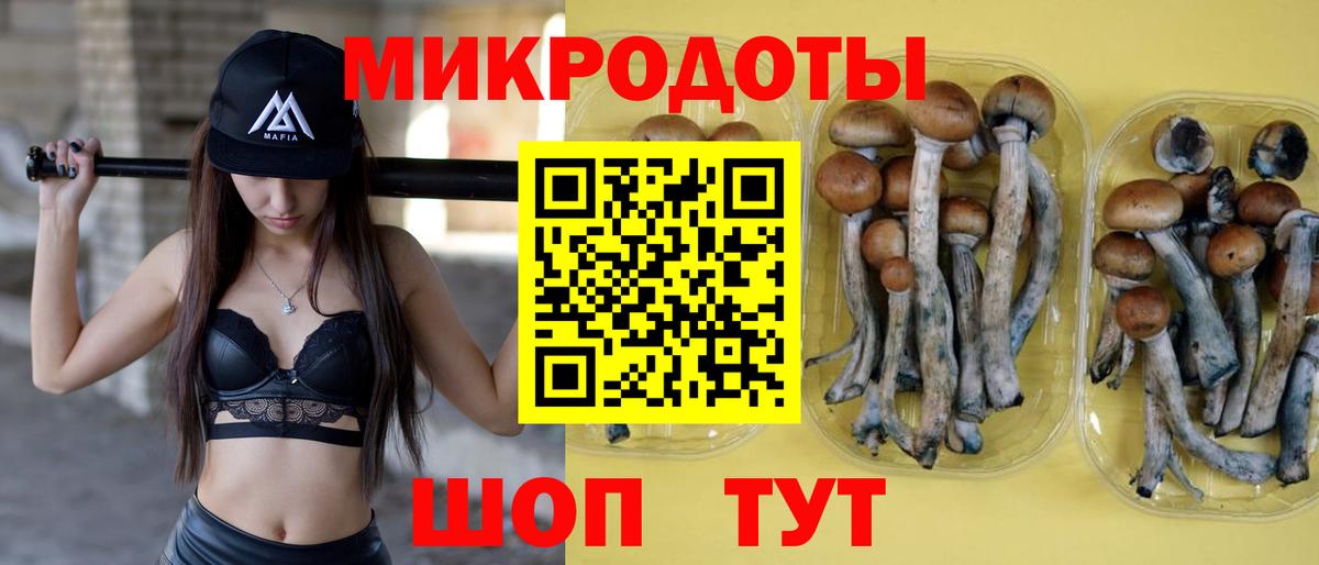 Галлюциногенные грибы Psilocybine cubensis Семёнов